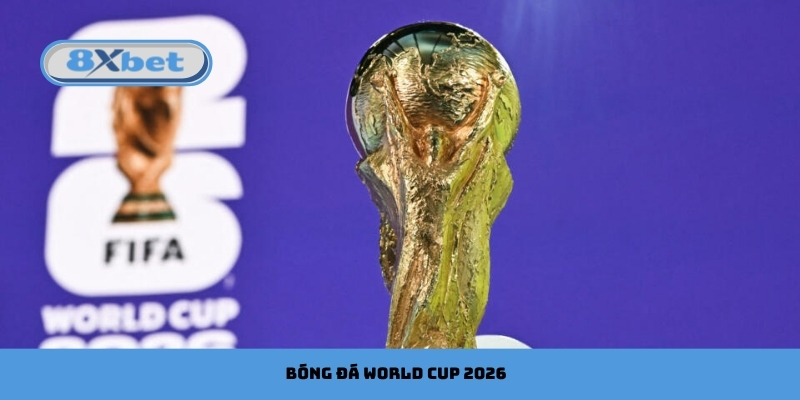 Khám Phá Sức Hút Bóng Đá World Cup 2026 Cùng 8xbet