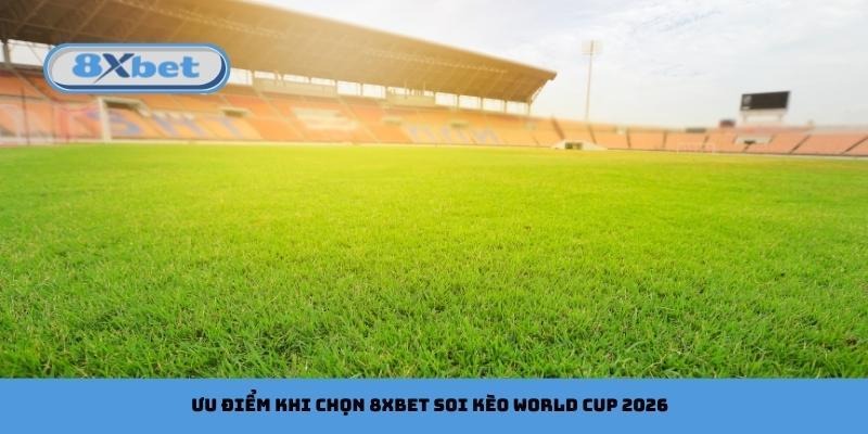 Bí kíp soi kèo World Cup 2026 như cao thủ